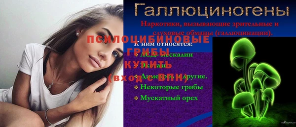 ПСИЛОЦИБИНОВЫЕ ГРИБЫ Бугульма